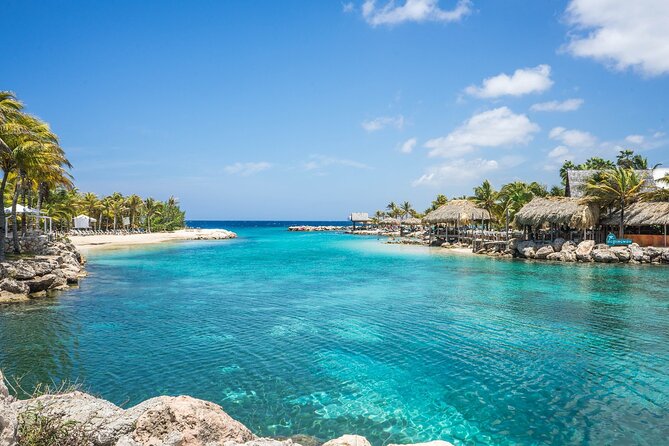 TRS Turquesa- Round Trip Shuttle - Punta Cana Airport - Private Punta Cana Airport Pickup: What You Actually Get