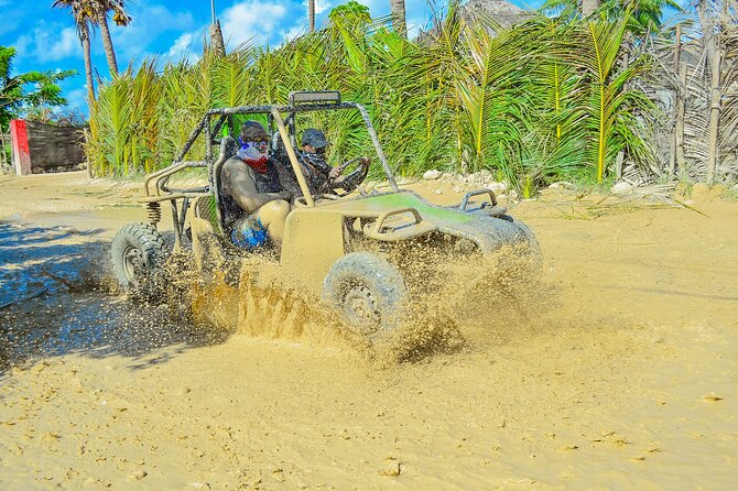 Unlimited Fun in Buggy and ATV and Horses in Punta Cana - Key highlights worth booking for