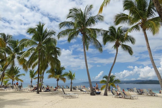 Whale Watching and Bacardi Island day trip from Punta Cana - Price and value: is $158.99 a fair deal?