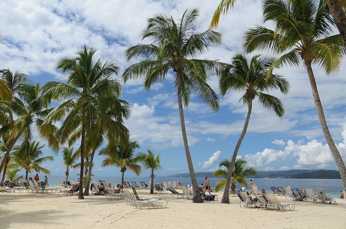 Whale Watching and Bacardi Island day trip from Punta Cana - Who should book this tour (and who might skip it)