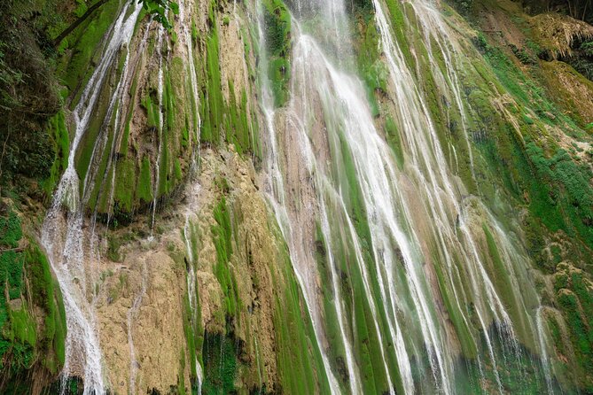 Whale Watching, Cayo Levantado and Limón Waterfall in Samaná - Whale Watching in Samaná Bay: The Morning You Plan Around