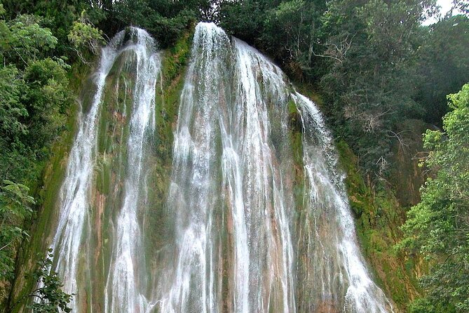 Whale Watching & Limón Waterfall Day Trip - What to pack (so the steps don’t ruin your day)