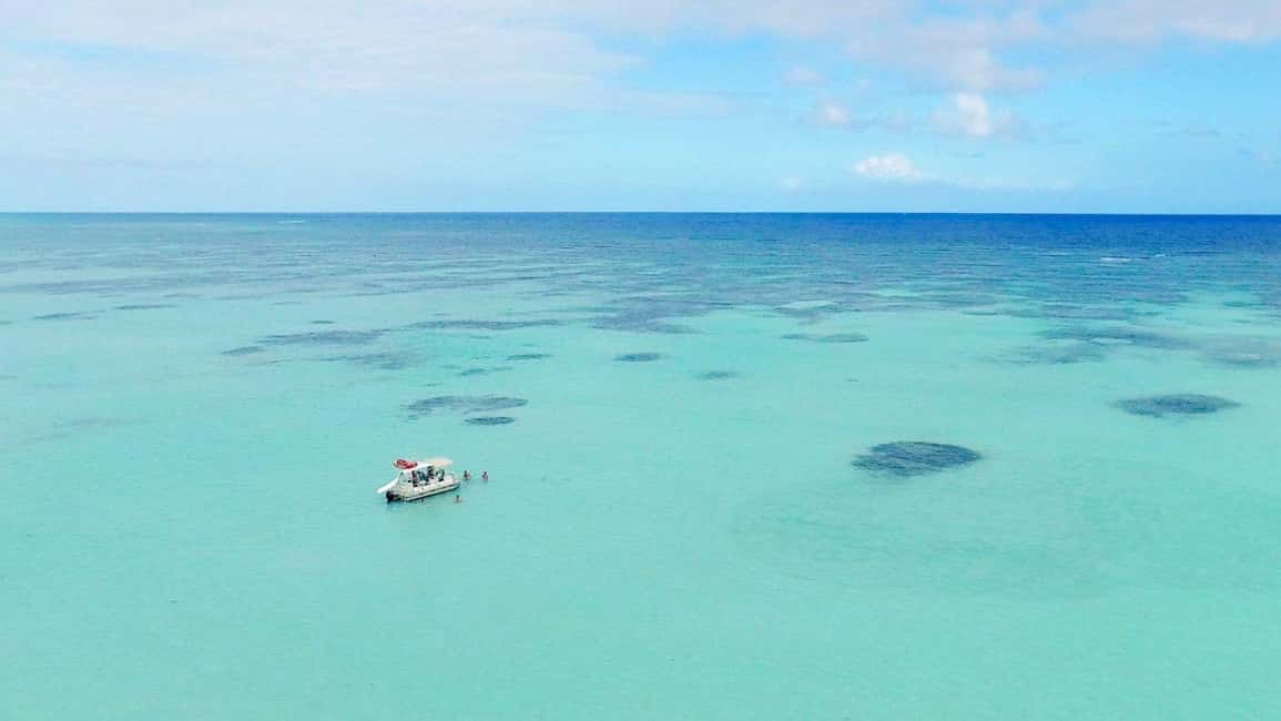 Wild On Punta Cana: Cruise with Snorkeling Half Day - What to bring for a smooth half-day on the water
