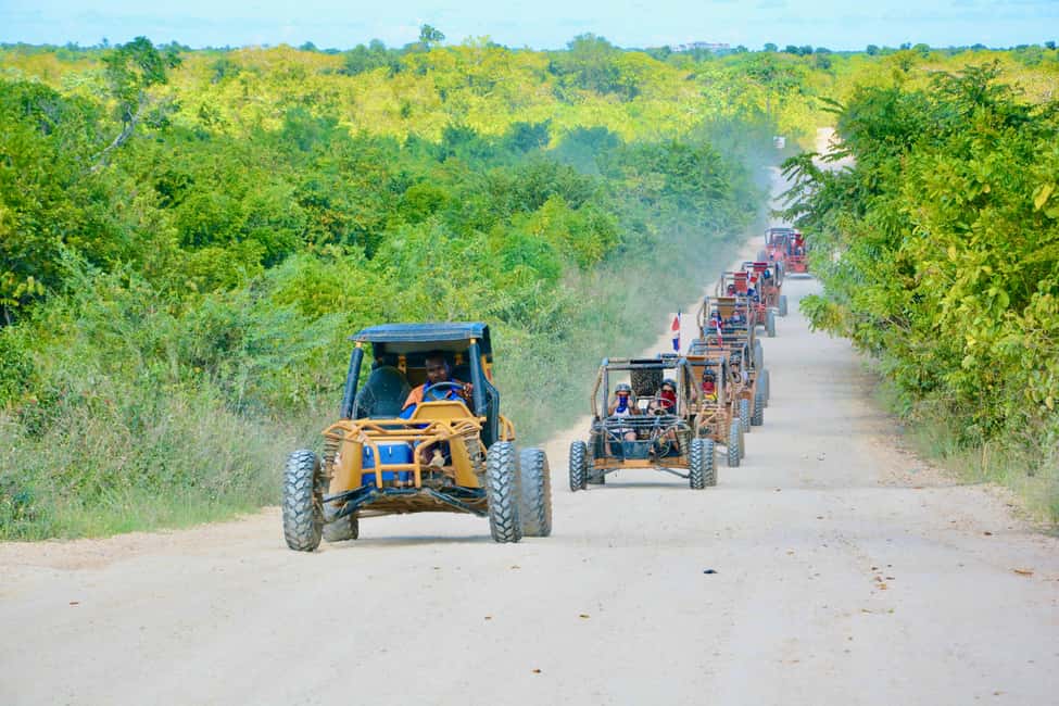 Wild Tiger Buggy: The Best Buggy Excursions in Punta Cana - The ranch tasting: chocolate, coffee, mamajuana, and cigars