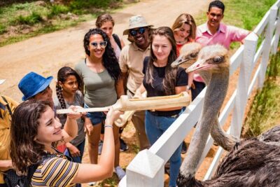Xploration Animal Encounters Half Day Tour from Punta Cana - Getting there: the mega-truck and panoramic ride to Nisibón
