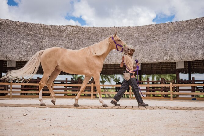 Xploration Animal Encounters Half Day Tour from Punta Cana - Animal encounters: what you might actually do
