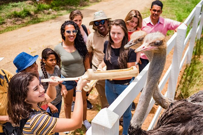 Xploration Animal Encounters Half Day Tour from Punta Cana - Getting there: the mega-truck and panoramic ride to Nisibón