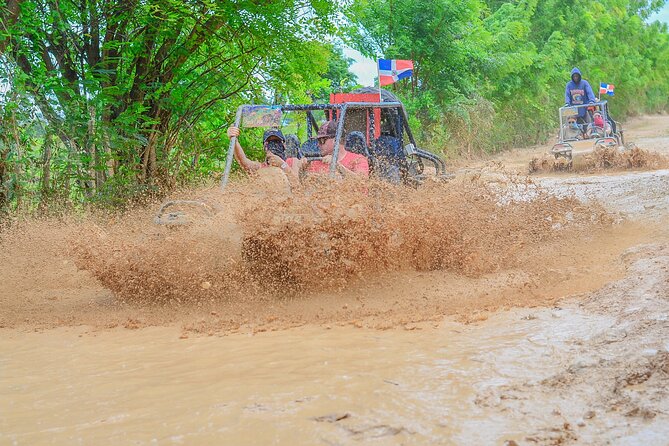Xtreme Buggy Adventure - The organic farm stop: coffee, chocolate, and local flavors