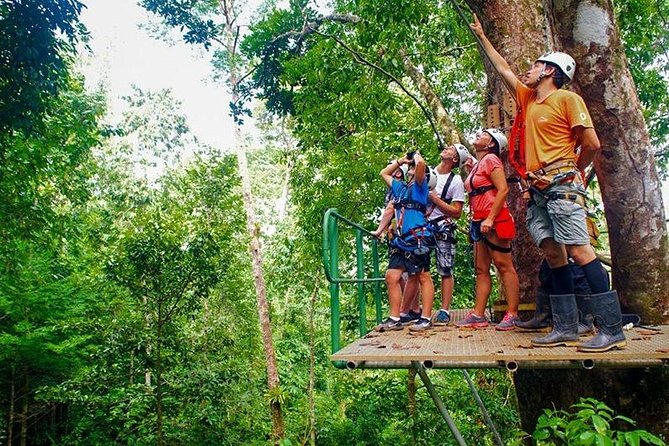 Zip Line - Half Day Adventure - Who this tour fits best (and who should rethink it)