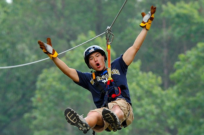 Zip Line - Half Day Trip - Price and Value: Is $90 Worth It for Six Lines?