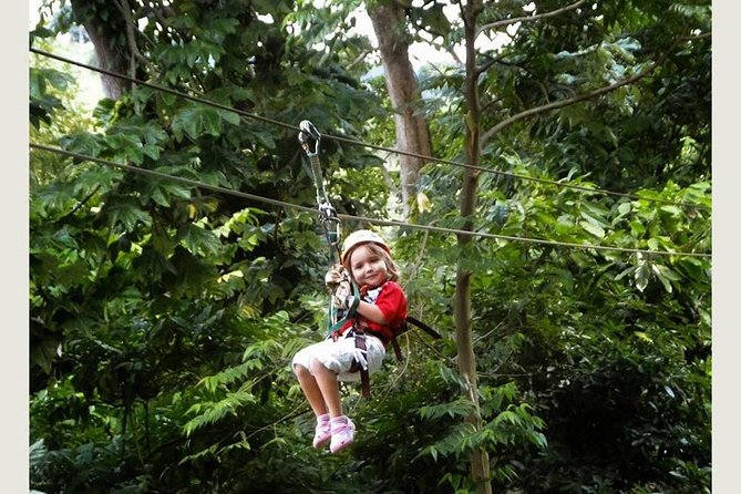Zip Line - Half Day Trip - Should You Book the Oasis Humpack RD Half-Day Zipline?