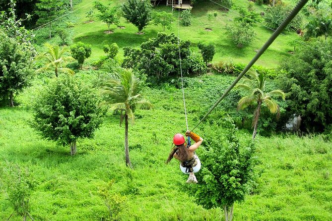 Zip Line in Punta Cana - Coffee and Cocoa Plantation Option: When to Choose It (and When to Skip)