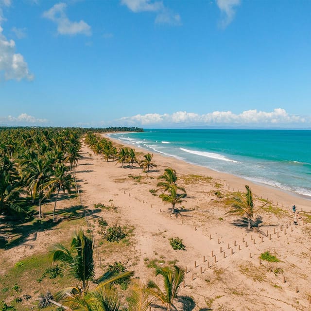 Zip Line Playa Esmeralda With Redonda Mountain - Weather reality: when plans might shift