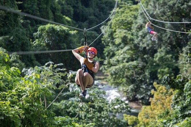 Zipline Adventure in Punta Cana – Thrilling Canopy Experience - The Human Touch: Friendly Staff and Helpful Support