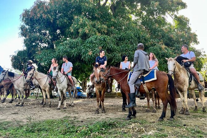 Zipline,Dune Buggy,Horse Riding - Who should book (and who should skip)